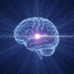 Illustrazione concettuale di un cervello che filtra milioni di dati sensoriali e lascia passare solo una piccola parte verso la coscienza.